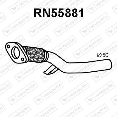 RN55881