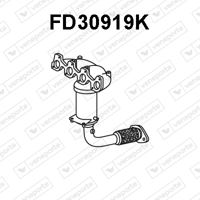 FD30919K