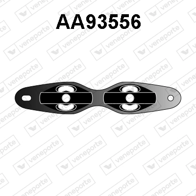 AA93556