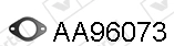 AA96073