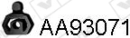 AA93071