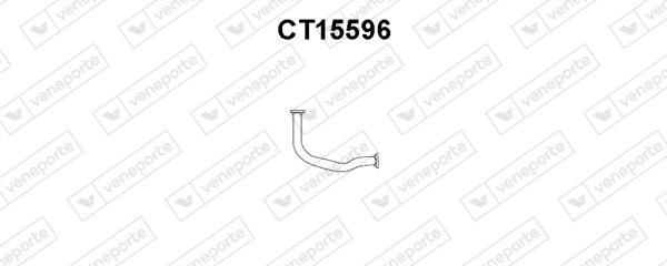 CT15596