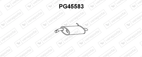 PG45583