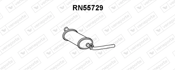 RN55729