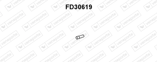 FD30619