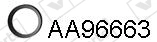 AA96663