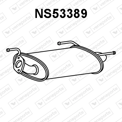 NS53389