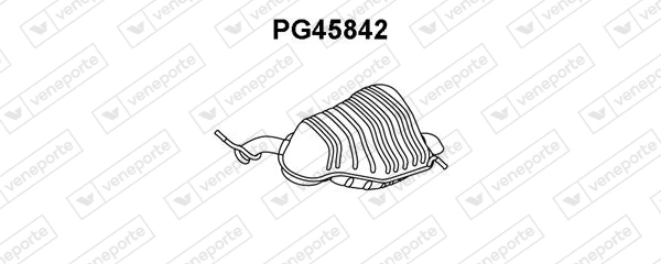 PG45842