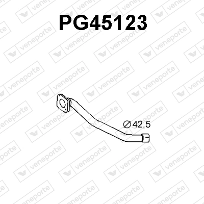 PG45123