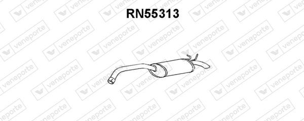 RN55313