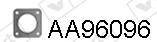 AA96096
