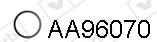 AA96070