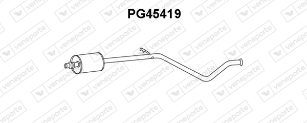 PG45419