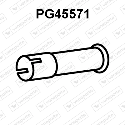 PG45571
