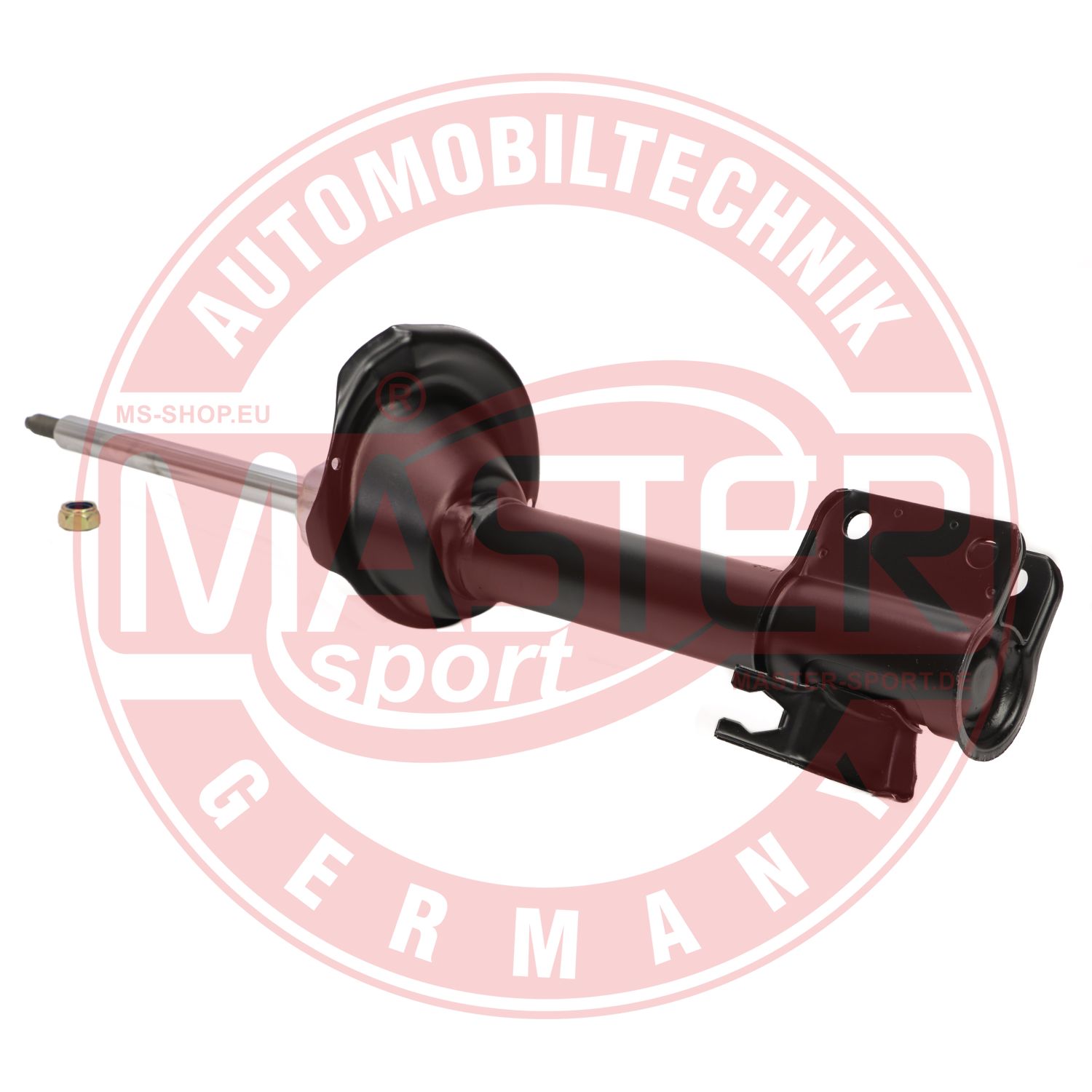 313706-PCS-MS
