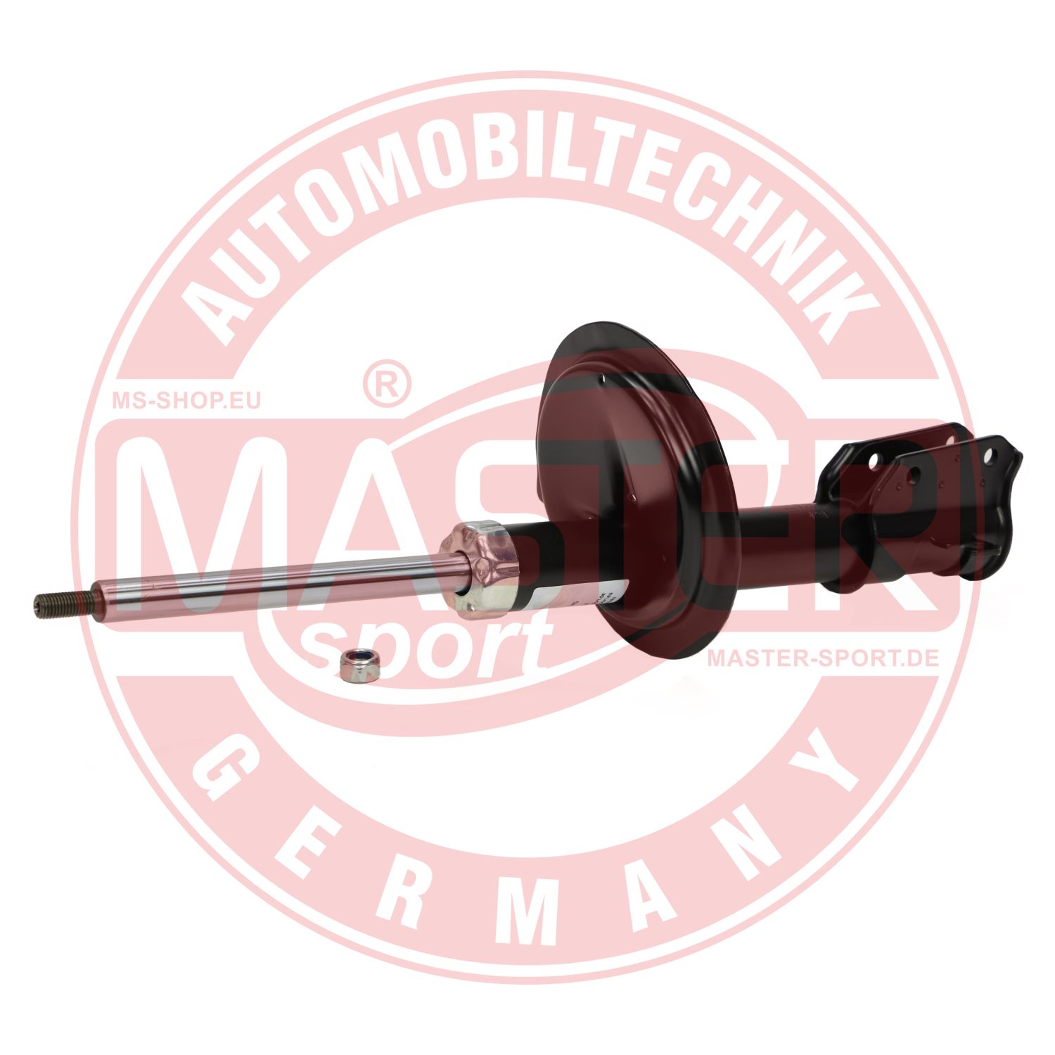 110460-PCS-MS