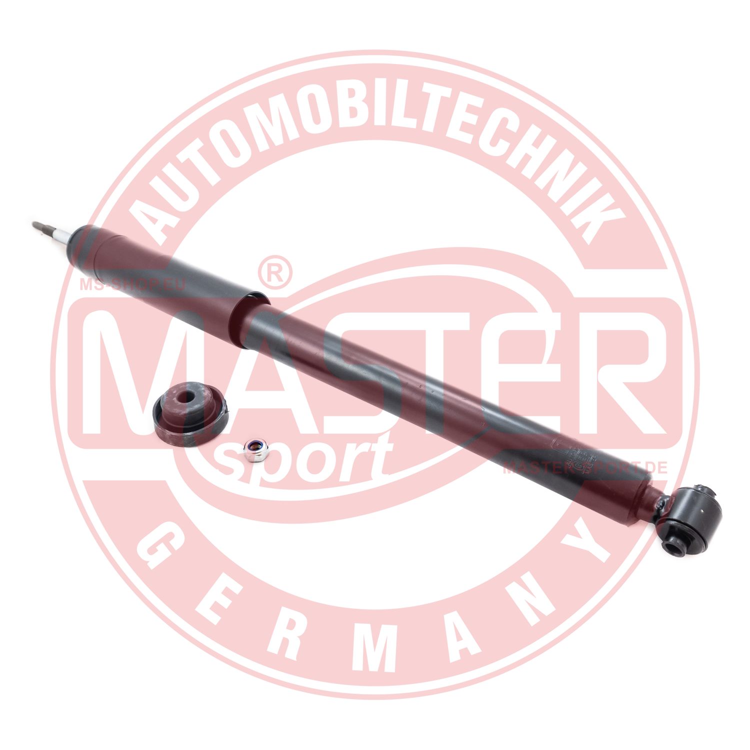 312566-PCS-MS