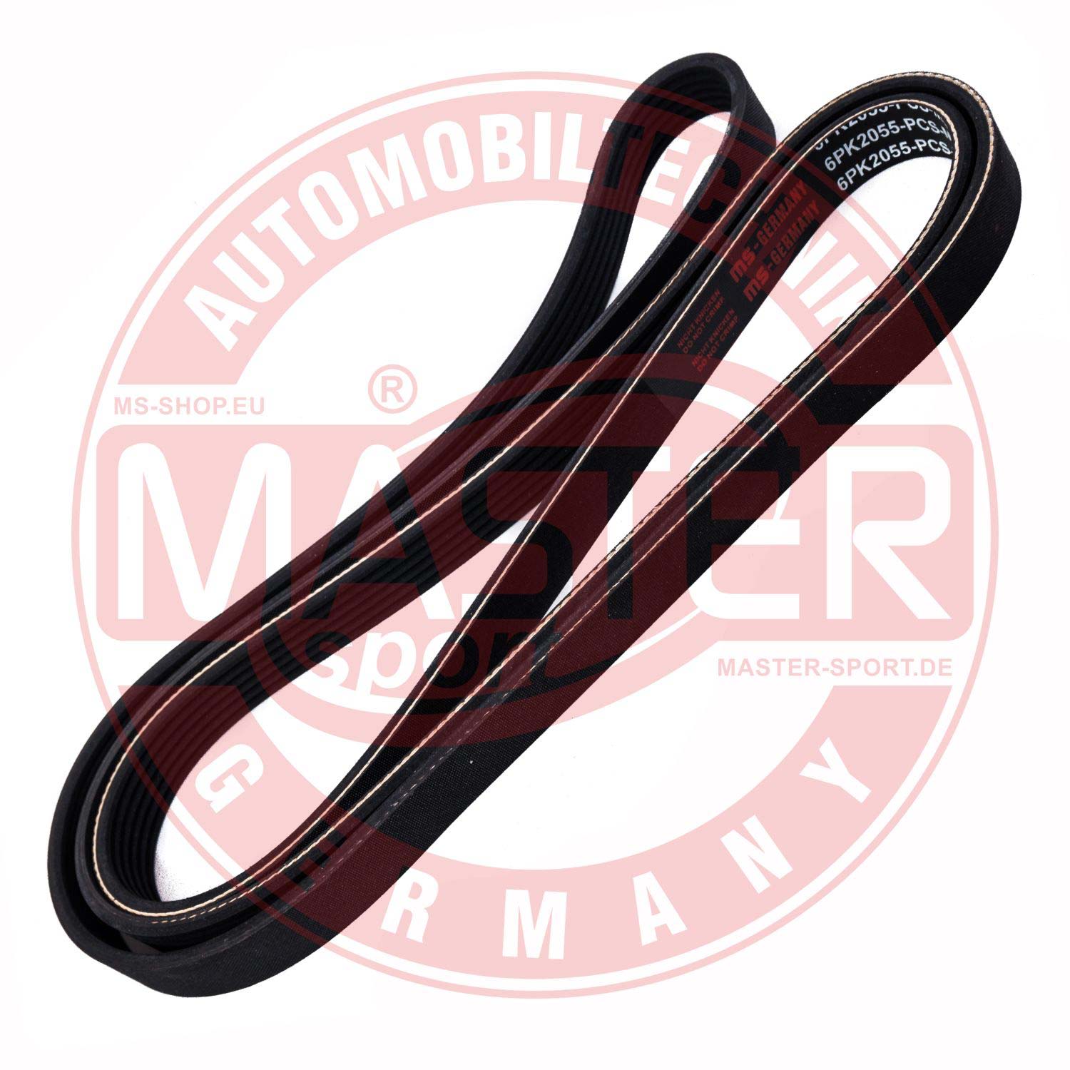 6PK2055-PCS-MS