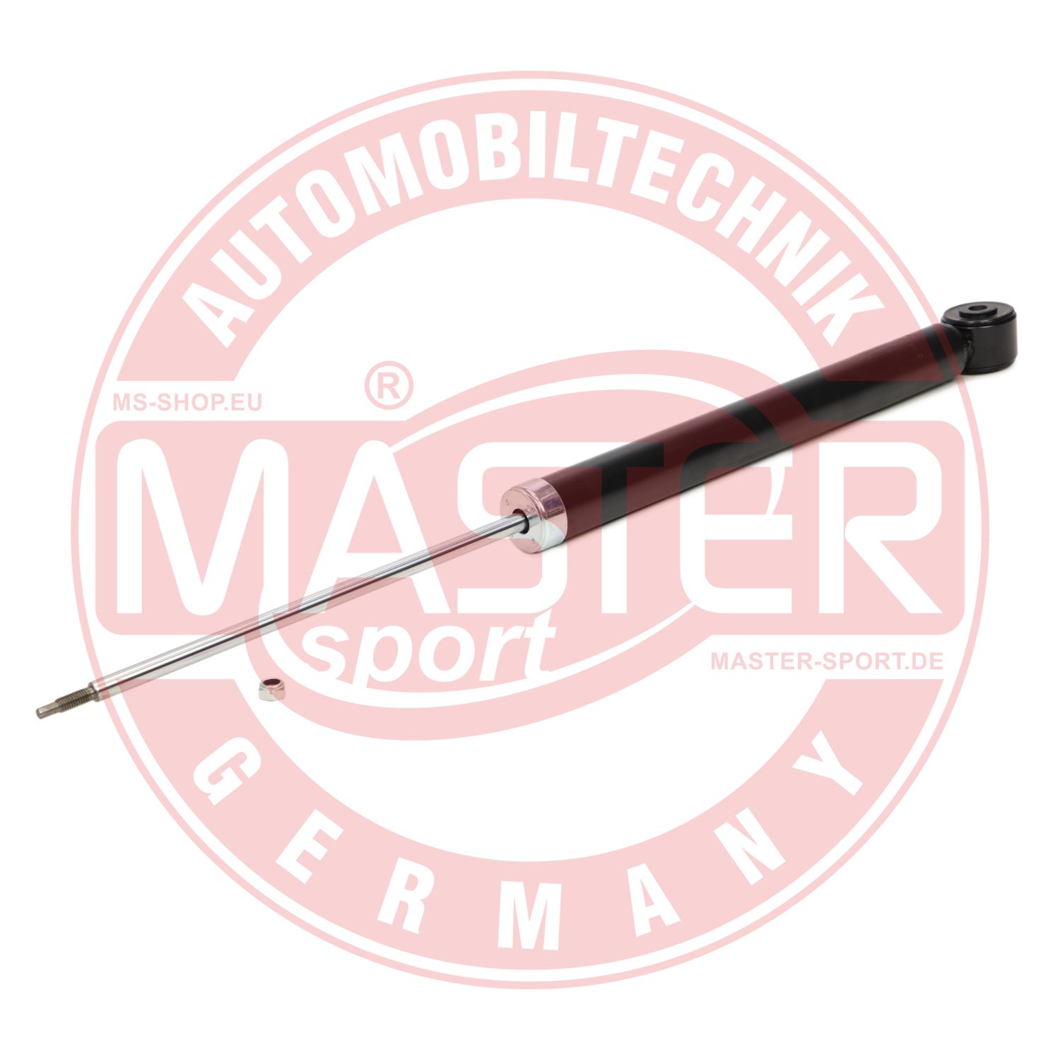 315868-PCS-MS