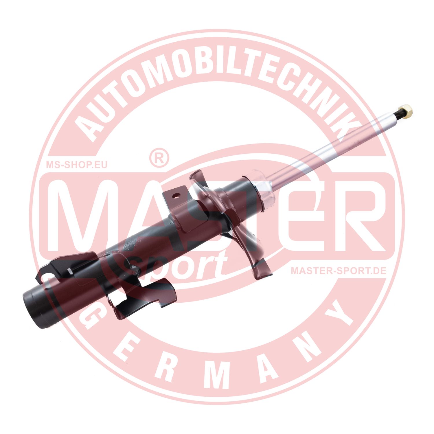 313411-PCS-MS