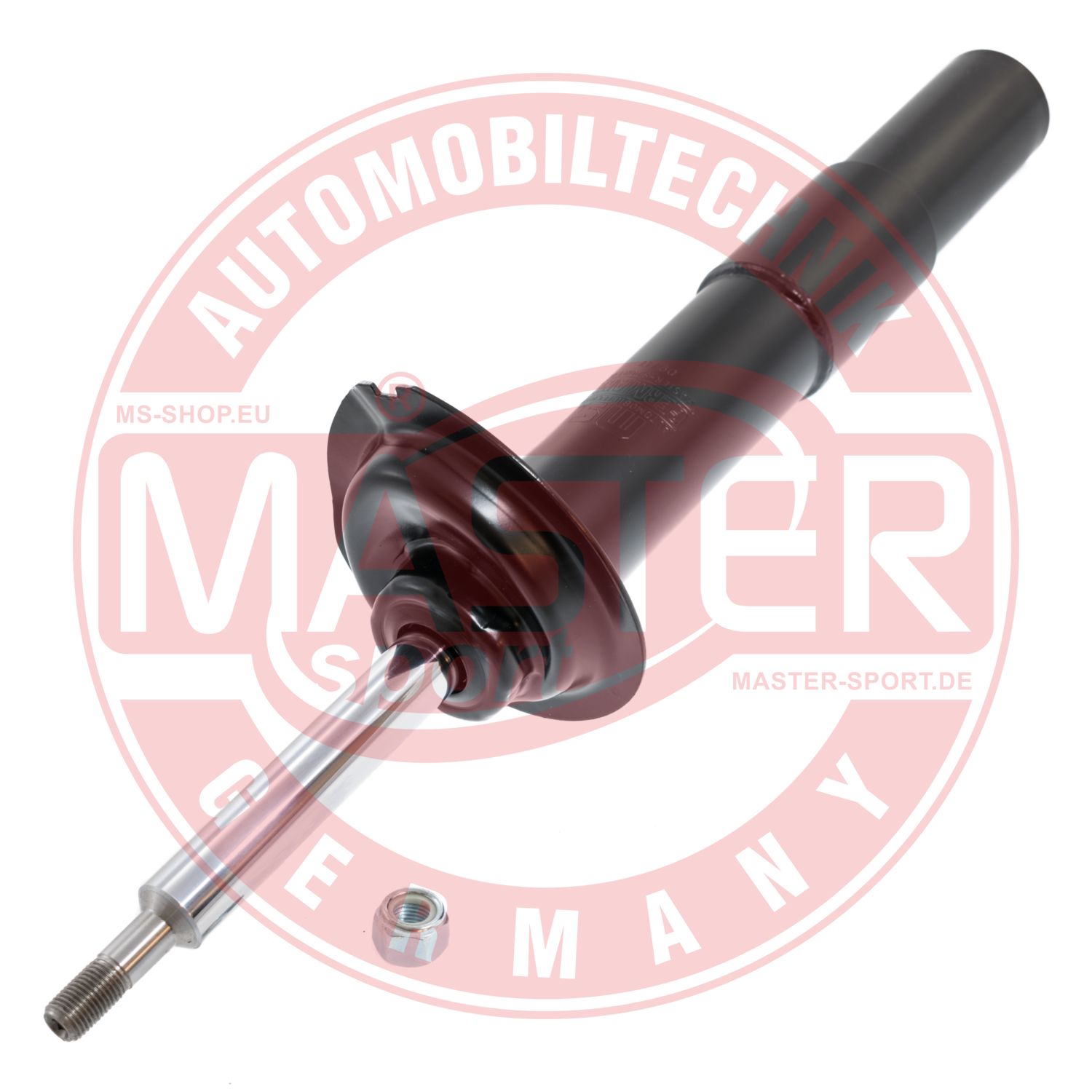 310274-PCS-MS