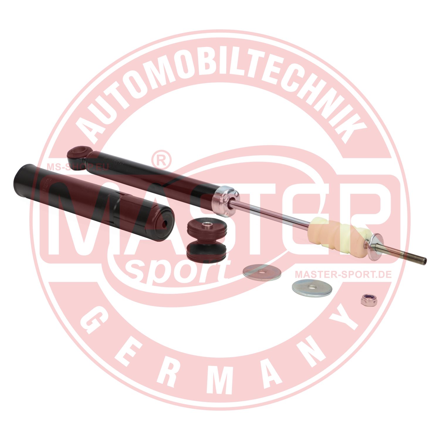 313663-PCS-MS