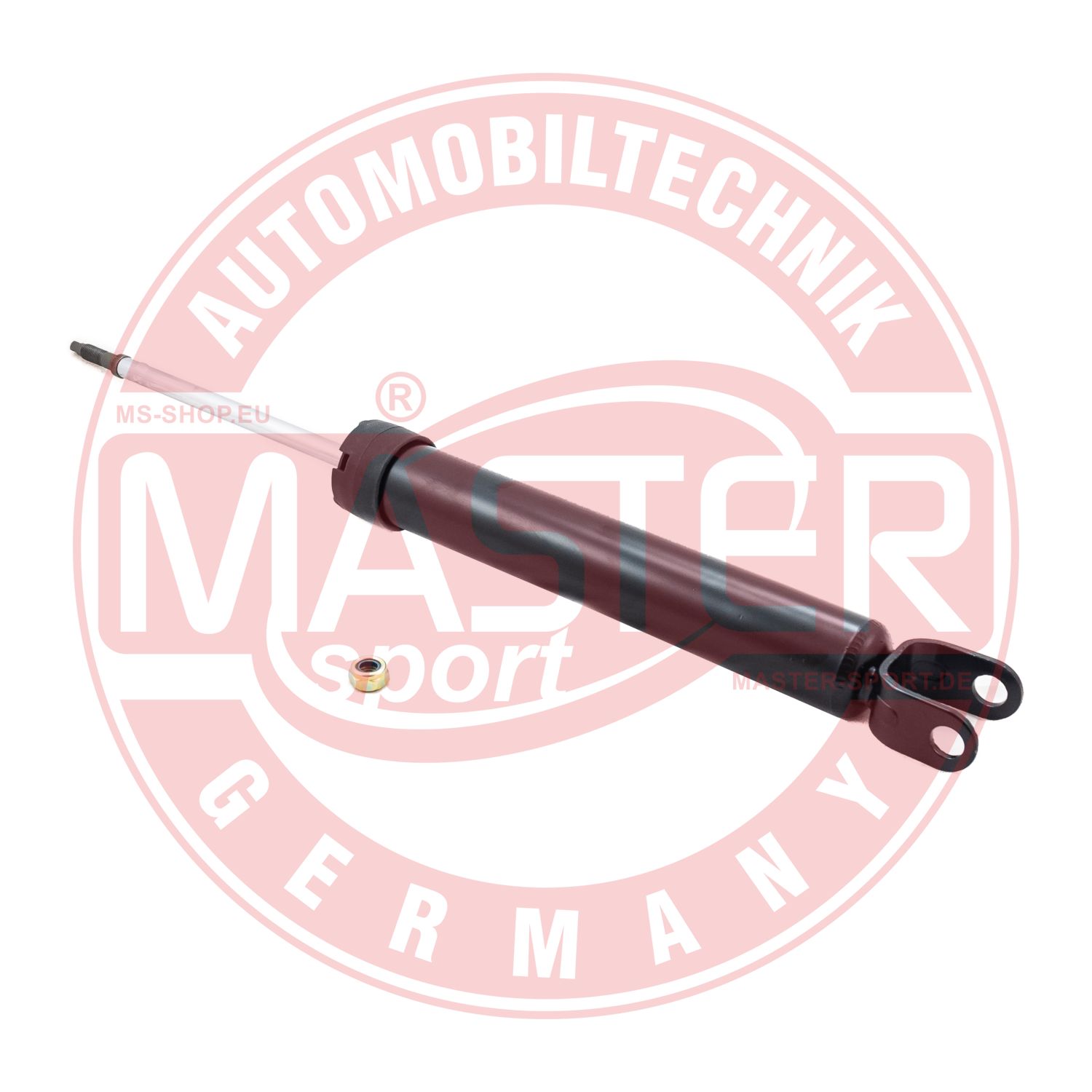 313551-PCS-MS
