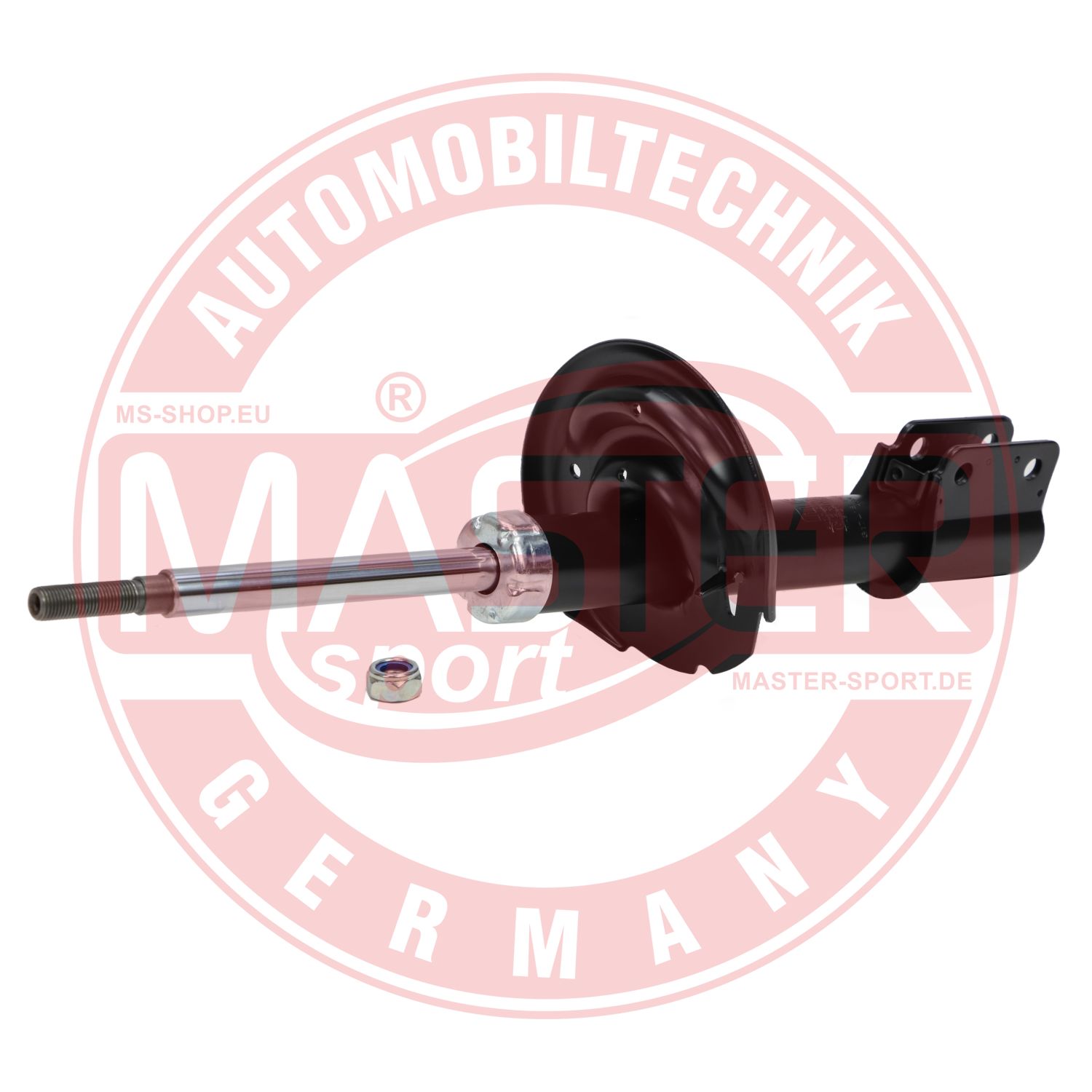 317418-PCS-MS