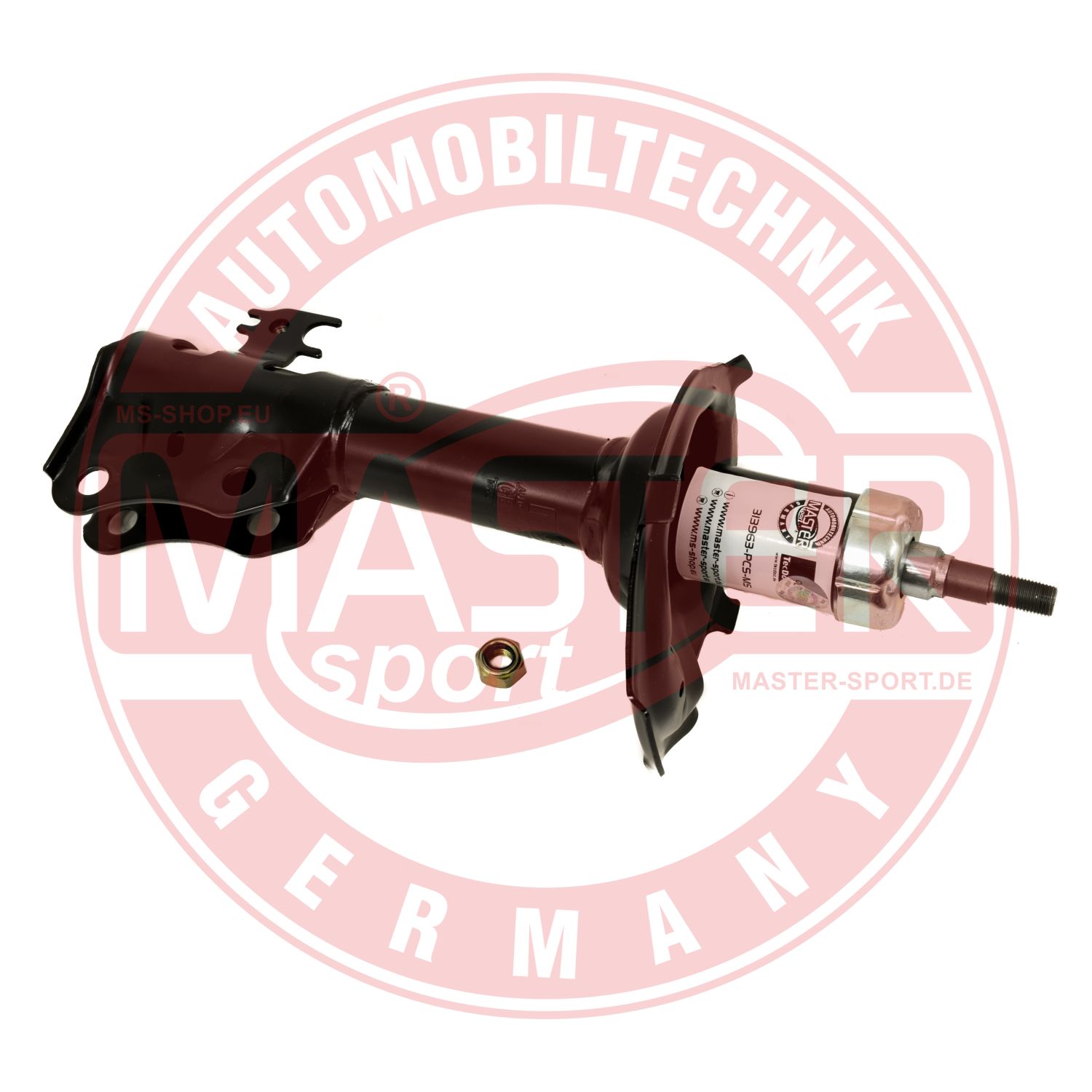 313963-PCS-MS
