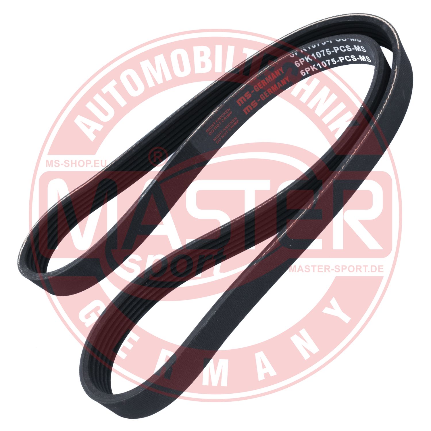 6PK1075-PCS-MS