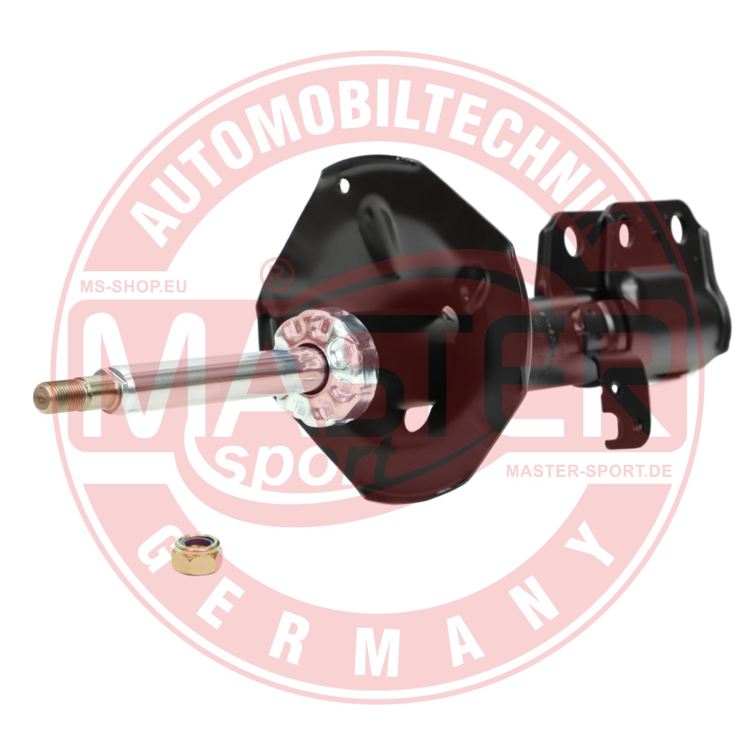 317121-PCS-MS