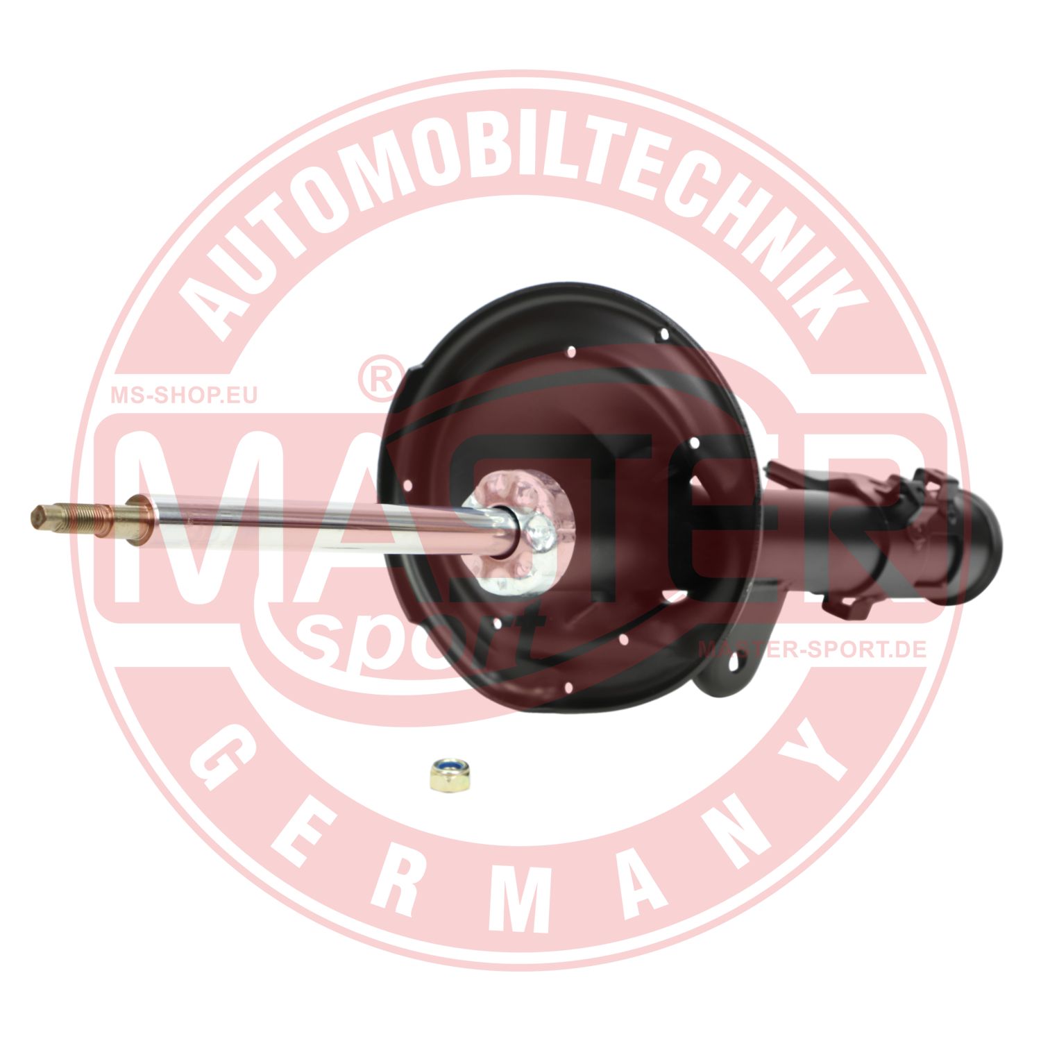 313520-PCS-MS