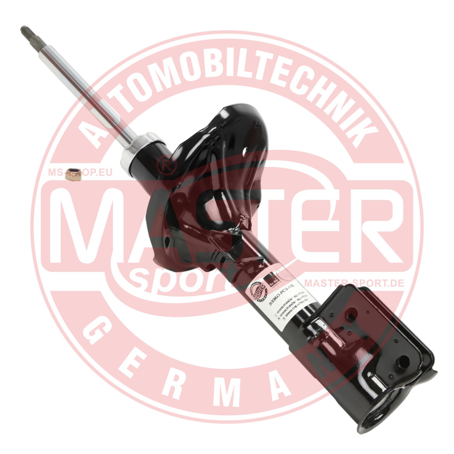 313360-PCS-MS