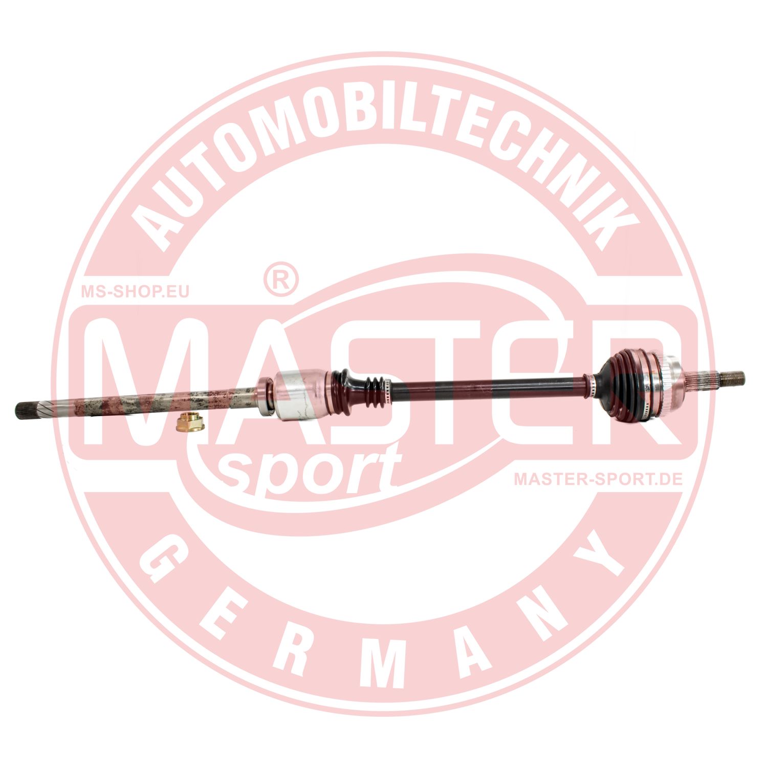 303506-SET-MS