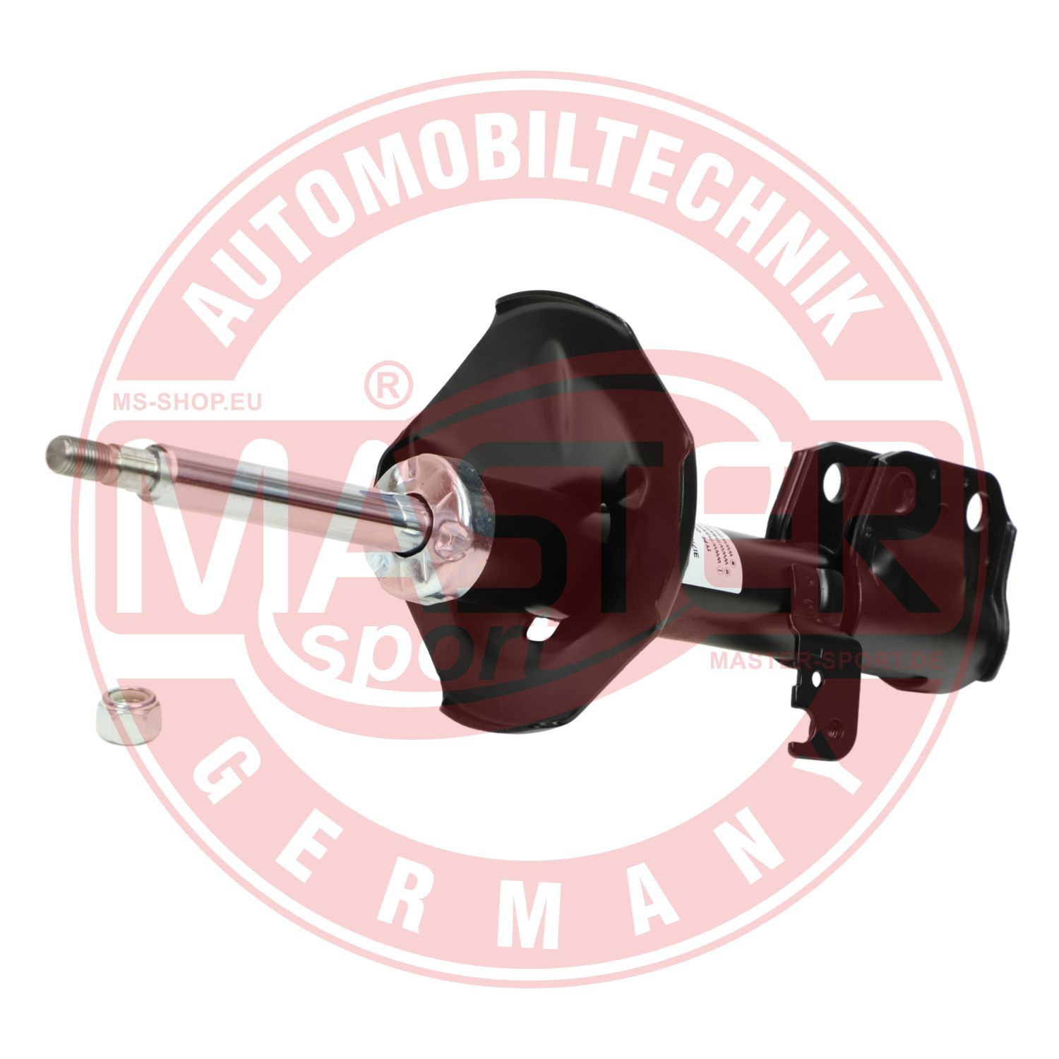 317109-PCS-MS