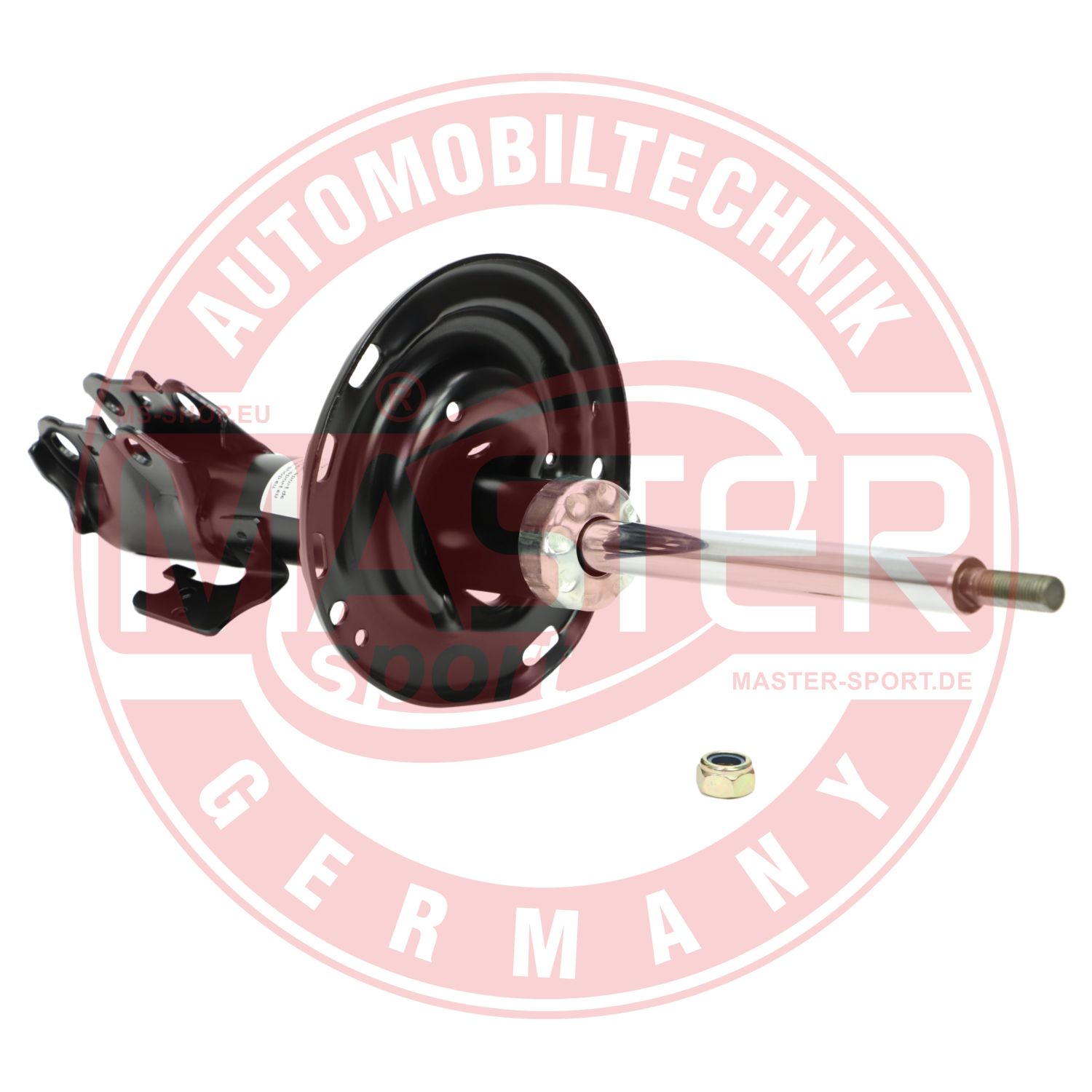 317117-PCS-MS