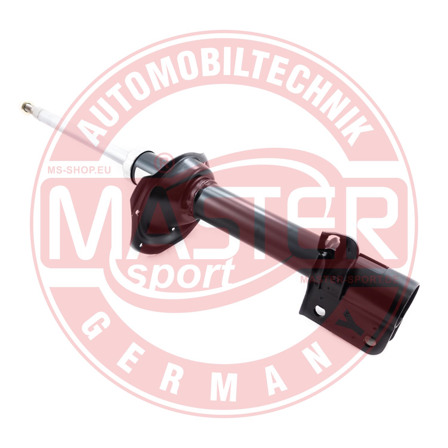 230491-PCS-MS