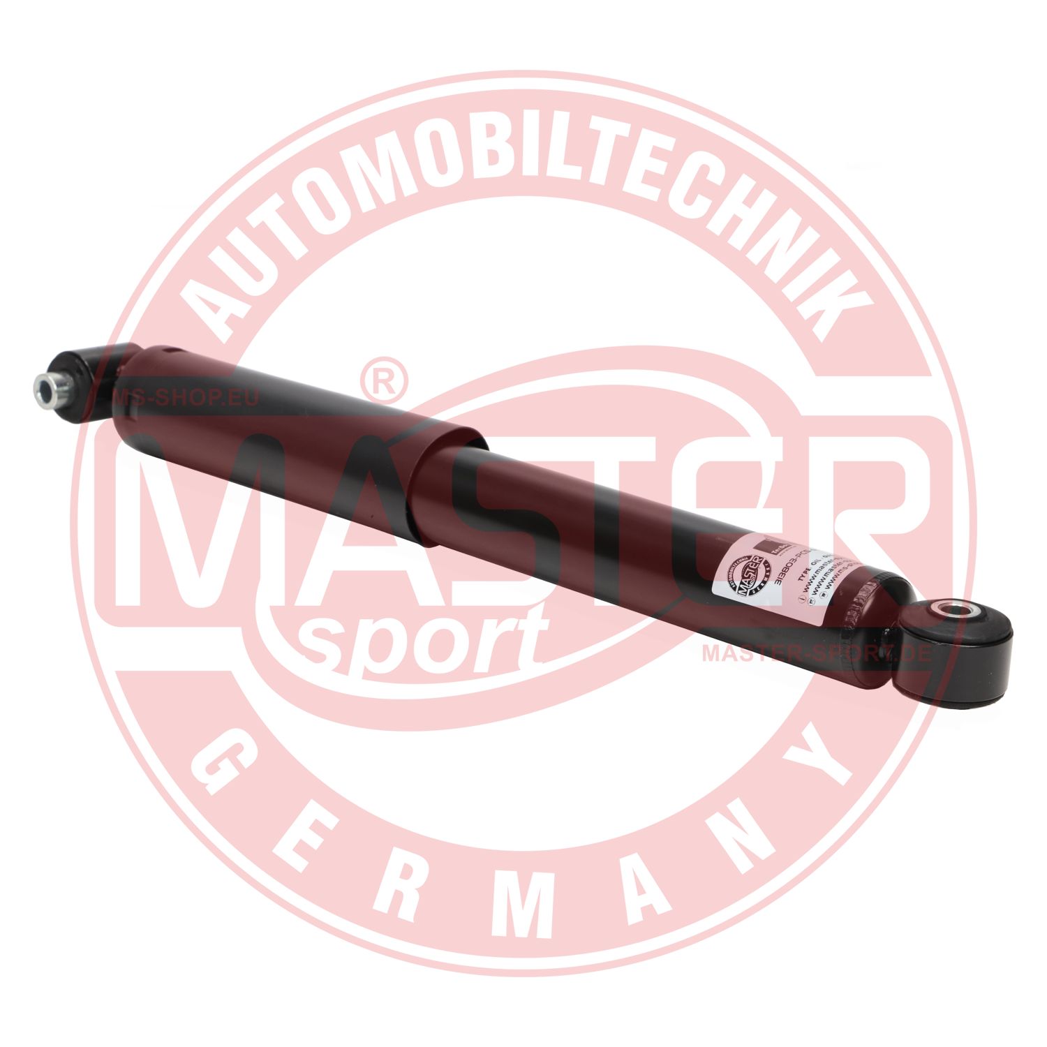 313803-PCS-MS