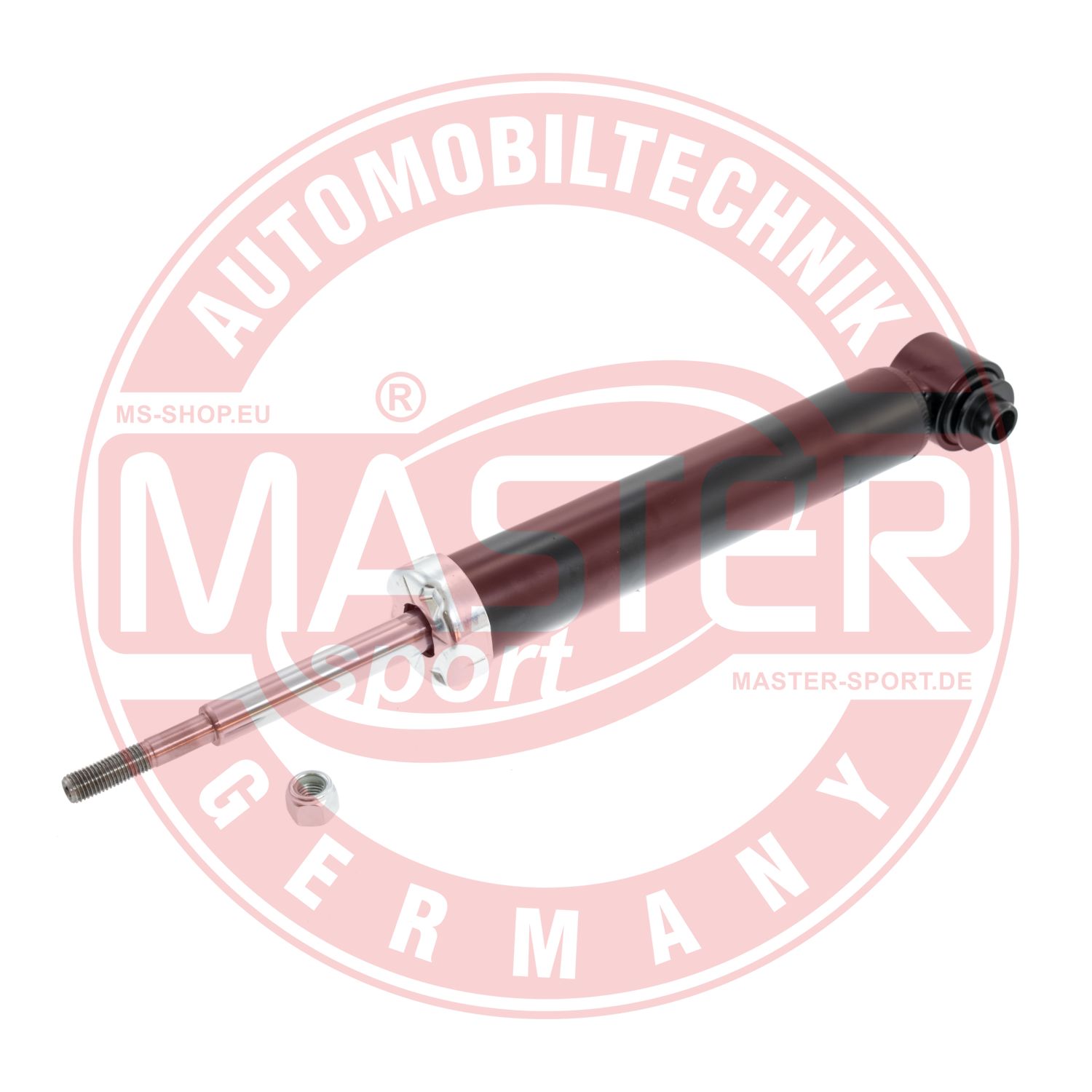 310497-PCS-MS