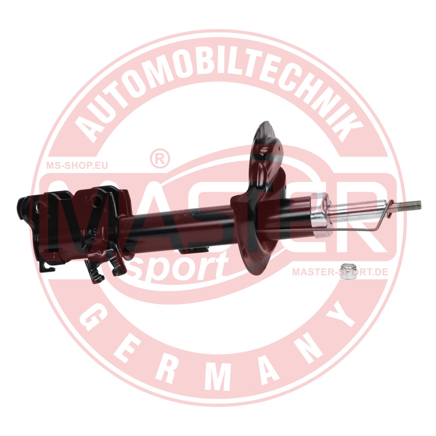 312187-PCS-MS