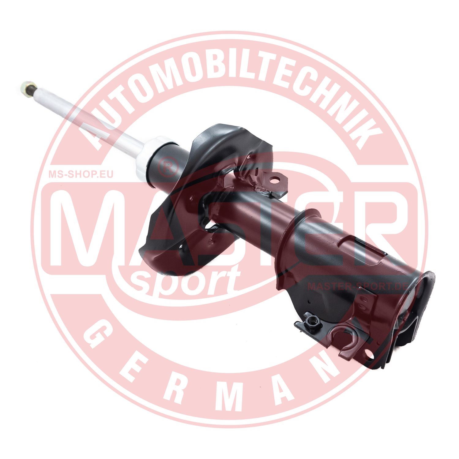 313588-PCS-MS