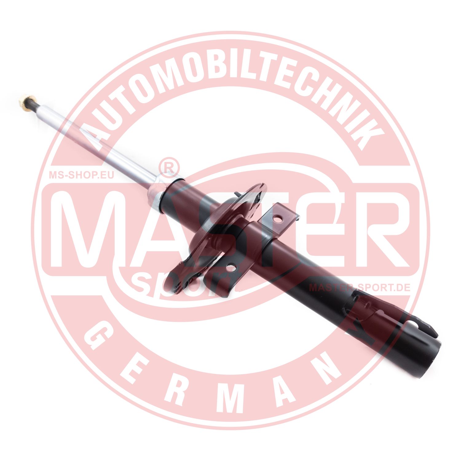 313446-PCS-MS