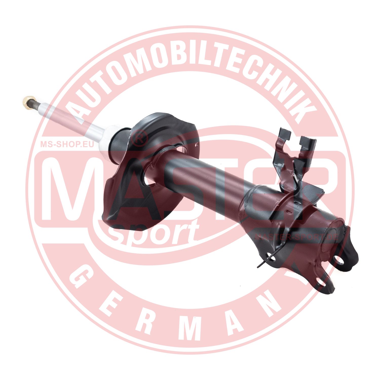 317157-PCS-MS