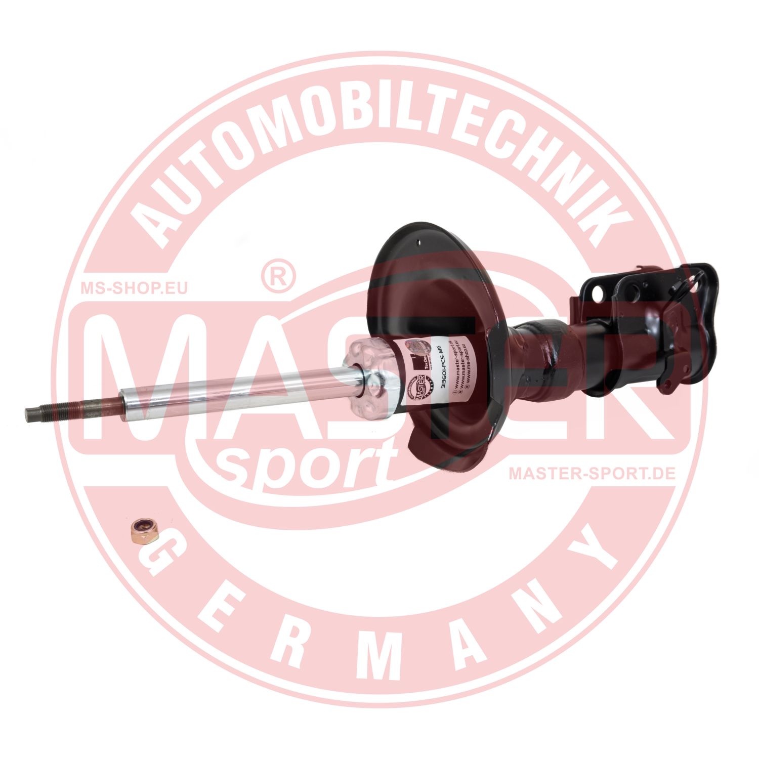 313601-PCS-MS