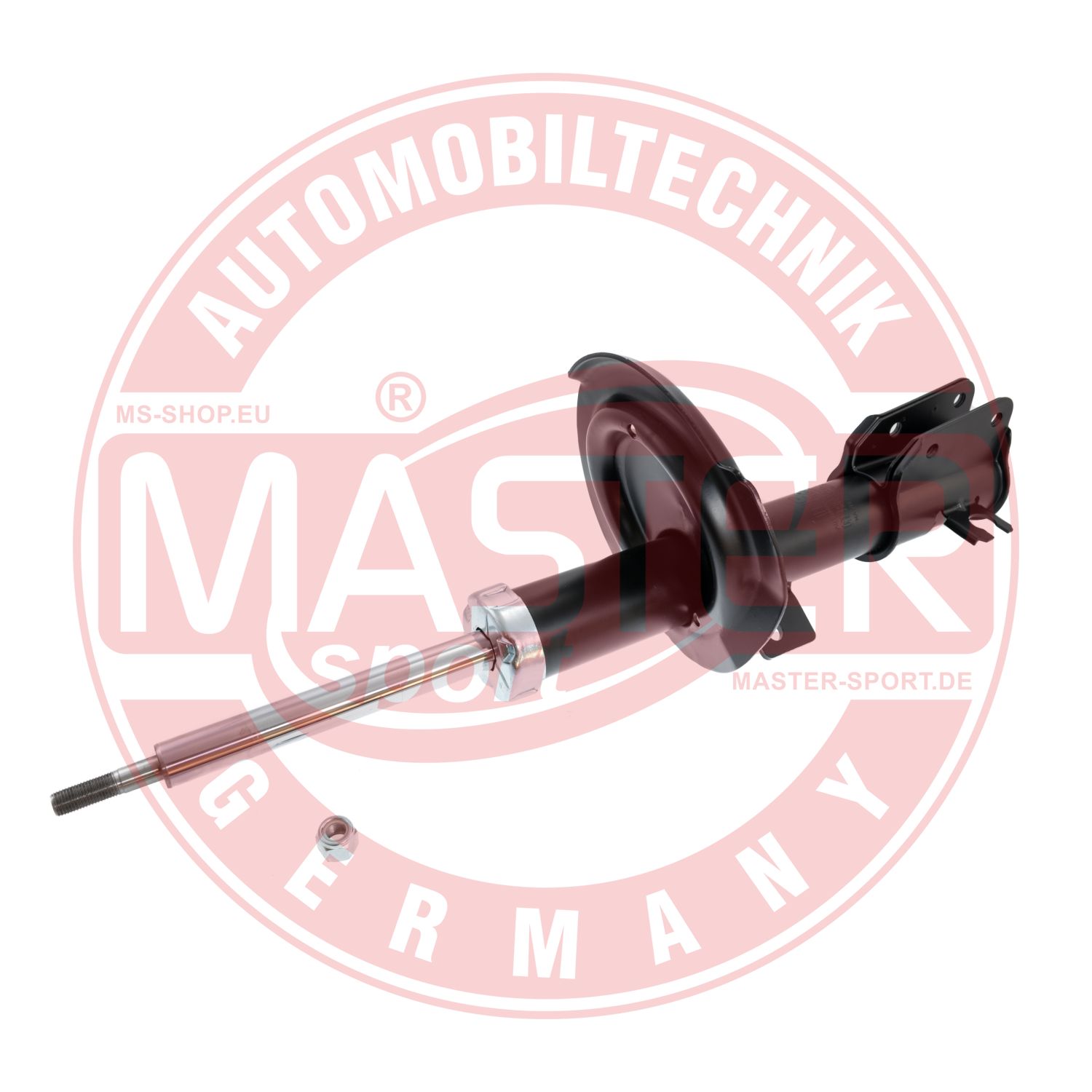 290701-PCS-MS