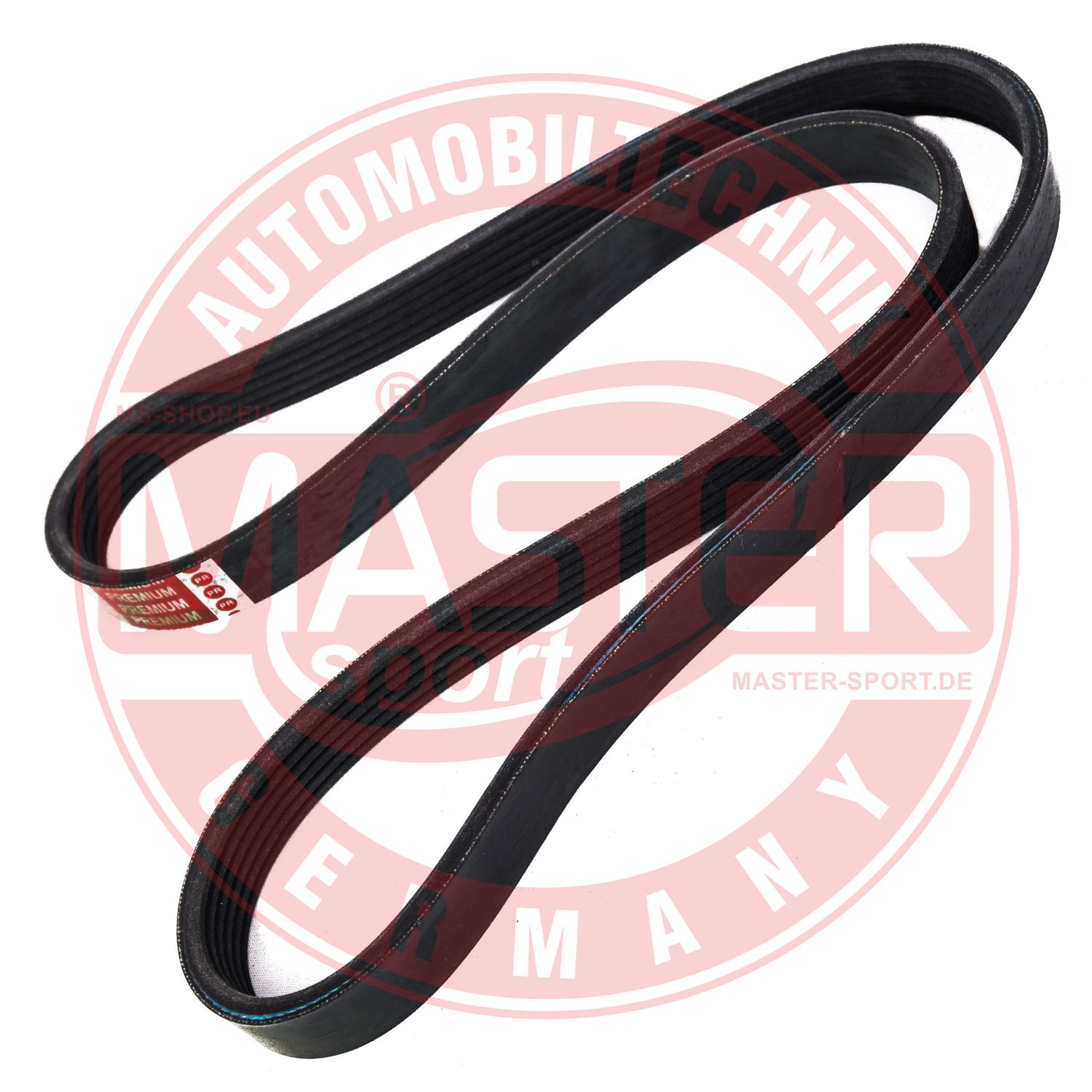 6PK1138-PCS-MS