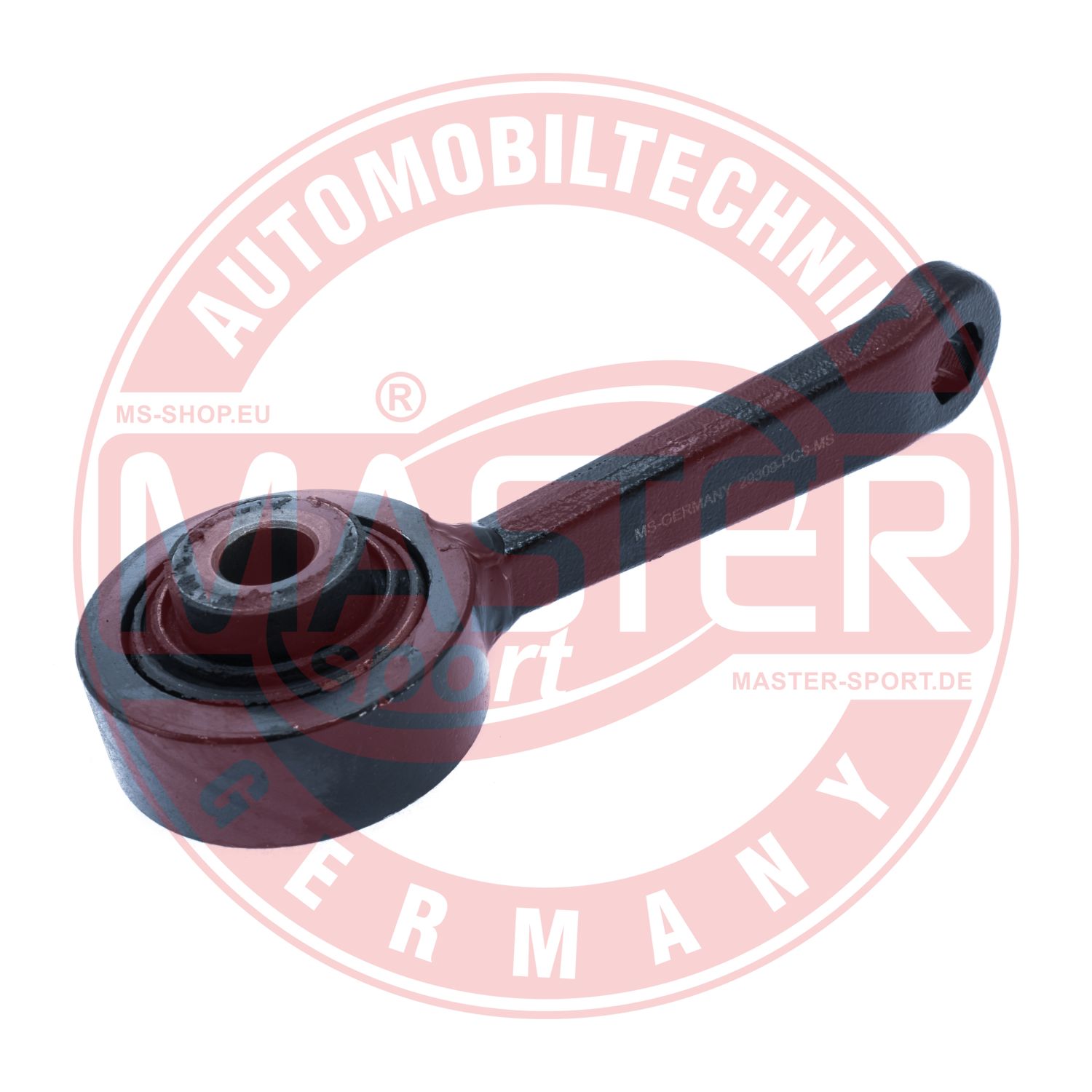 29309-PCS-MS