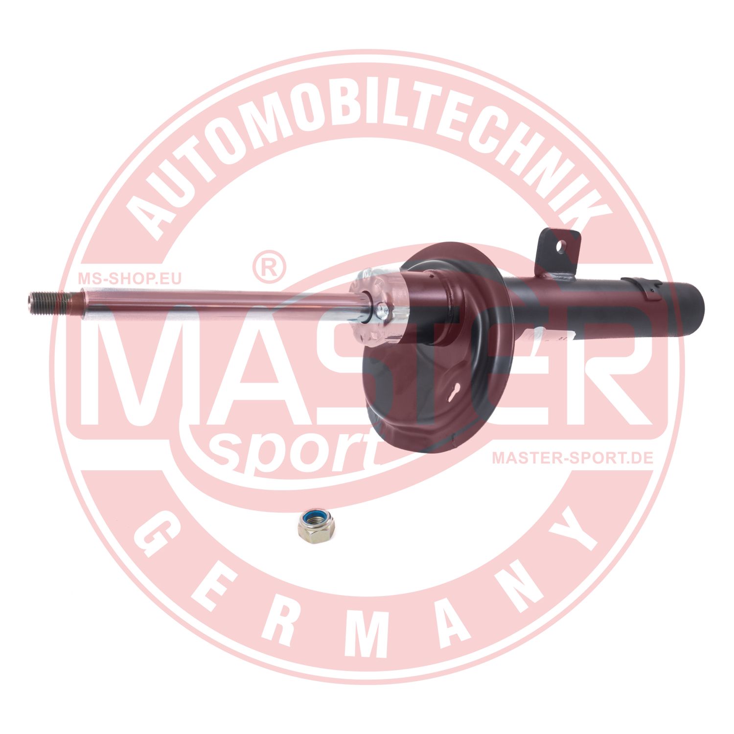 313344-PCS-MS
