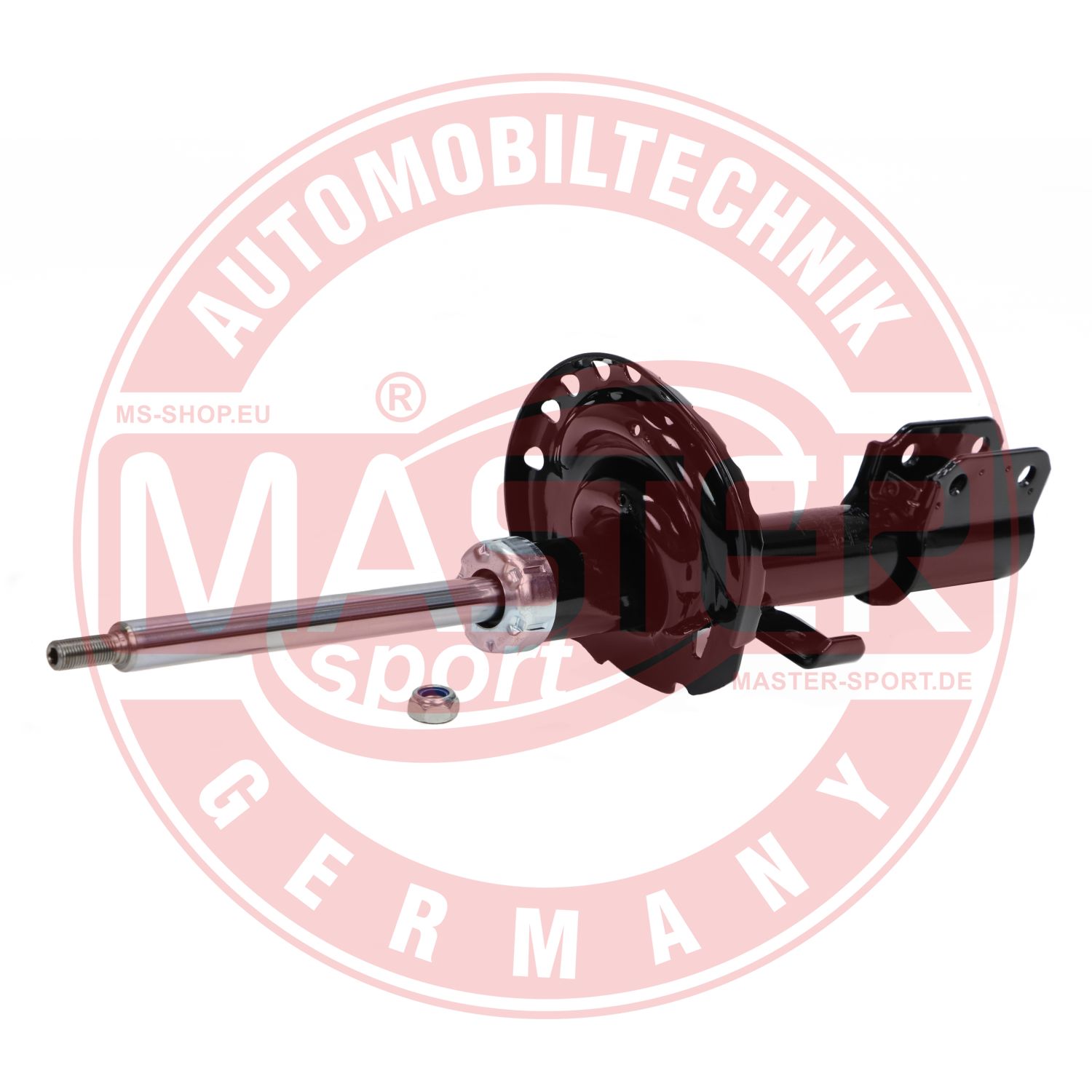 314736-PCS-MS