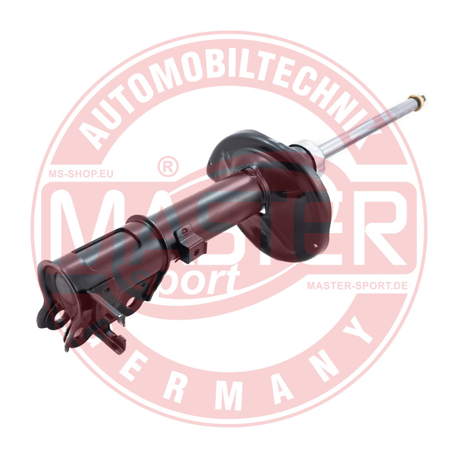 313845-PCS-MS